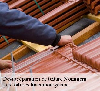 Qui est capable de réaliser les travaux de réparation des tuiles de rive à Nommern ?