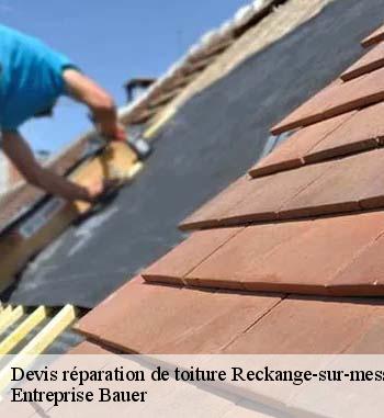 Les travaux de réparation pour les toits des maisons à Reckange-sur-mess
