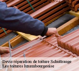 Les opérations de réparation pour les toits des maisons à Schuttrange dans le 