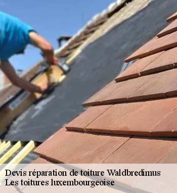 Entreprise Bauer : un habitué des travaux de réparation des toits à Waldbredimus et ses environs