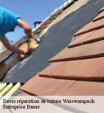 Les opérations de réparation pour les toits des maisons à Weiswampach dans le 