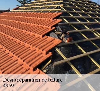 Les opérations de réparation pour les toits des maisons à Bascharage dans le 4959