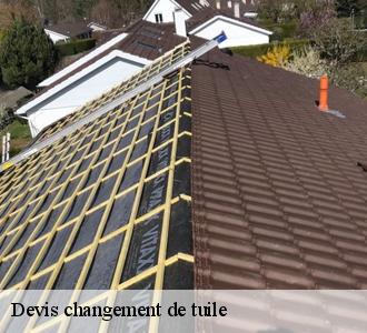 5. Les toitures luxembourgeoise , l’artisan désigné comme le plus fiable pour la réalisation de vos travaux de changement de tuiles à Bech