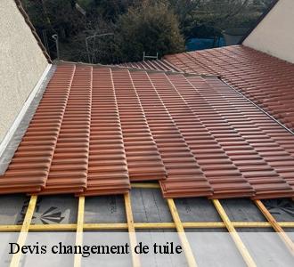 6. Pourquoi se tourner vers l’artisan couvreur Les toitures luxembourgeoise pour le changement de vos tuiles à Bech ?