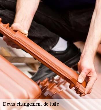 1. Travaux de changement de tuiles à Beckerich : l’artisan Entreprise Bauer vous offre votre devis