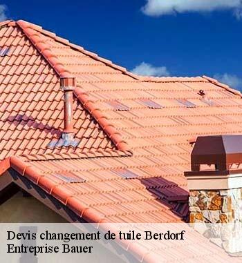 1.	Travaux de changement de tuiles à Berdorf : l’artisan Entreprise Bauer vous offre votre devis