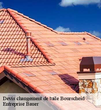 19.	Changement de tuiles pas cher à Bourscheid : l’entreprise de toit Entreprise Bauer est à votre écoute