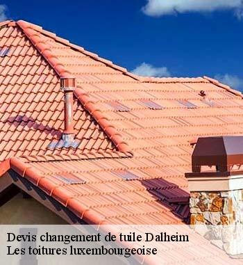 9. Entreprise Bauer, la solution la plus efficace pour un changement de tuiles à des prix alléchants à Dalheim
