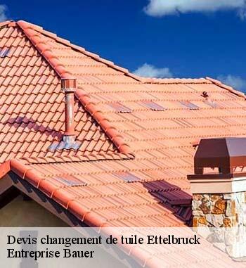 7.	Changement de tuiles au meilleur tarif à Ettelbruck : prenez contact avec l’artisan couvreur Entreprise Bauer