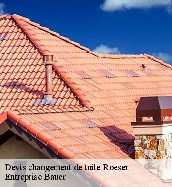 11.	Entreprise Bauer, plus qu’un bon artisan pour changer les tuiles de votre toit à Roeser