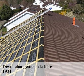 17.	Pose de tuiles en terre cuite à Luxembourg : une équipe peut vous être dépêchée par l’entreprise Les toitures luxembourgeoise 