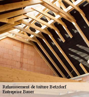 Pour un rehaussement de toit  conforme aux normes, fies vous à Entreprise Bauer 