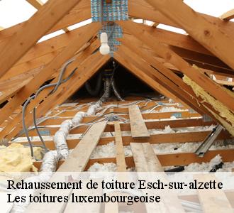 Confiez le rehaussement de votre toiture à un professionnel expérimenté 