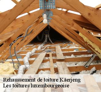 Demandez le devis gratuit d’un rehaussement de toiture à Les toitures luxembourgeoise .