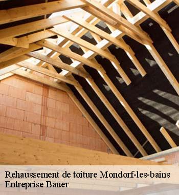 Faites confiance à l’expertise de Entreprise Bauer pour un projet de  rehaussement de toiture à Mondorf-les-bains 