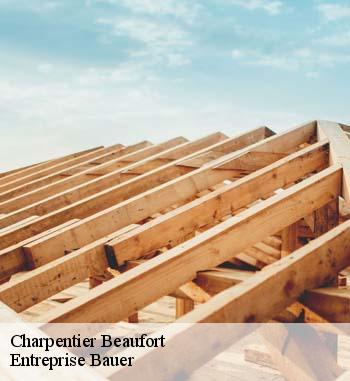Les travaux de changement de charpente à Beaufort dans le