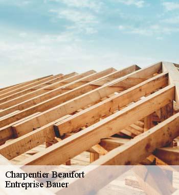 Les compétences de Entreprise Bauer pour réaliser les travaux de changement des charpentes à Beaufort dans le 