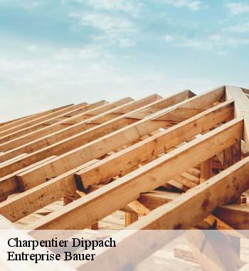 Les travaux de traitement des charpentes à Dippach dans le 