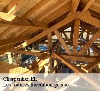 Le remplacement pour les charpentes à Ell pour le et les localités avoisinantes