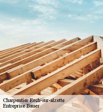 Les avantages de faire appel à Entreprise Bauer pour le traitement des charpentes à Esch-sur-alzette et ses environs 