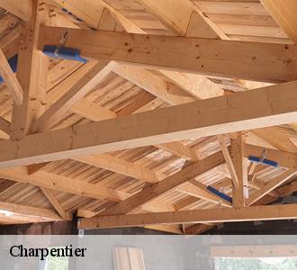Qui peut effectuer les travaux de traitement des charpentes à Ettelbruck?