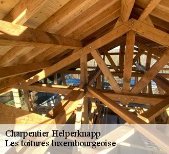 Qui peut effectuer les travaux de traitement des charpentes à Helperknapp?