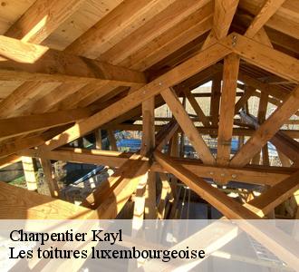 Qui peut effectuer les travaux de traitement des charpentes à Kayl?
