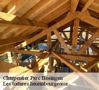 Qui peut effectuer les travaux de traitement des charpentes à Parc Hosingen?