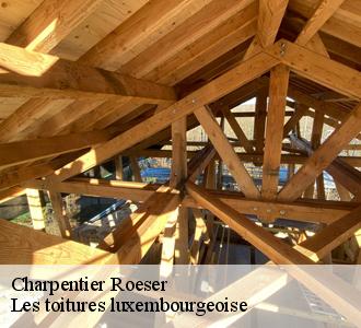 Les travaux qui sont effectués par Les toitures luxembourgeoise à Roeser
