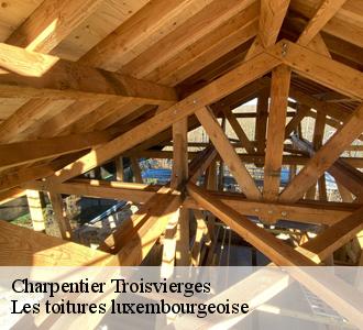 Les travaux de traitement des charpentes à Troisvierges dans le