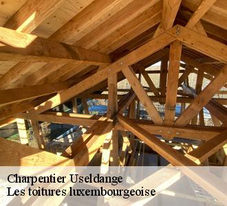 Les avantages de faire appel à Les toitures luxembourgeoise pour le traitement des charpentes à Useldange et ses environs