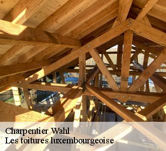 Les travaux à confier à Les toitures luxembourgeoise à Wahl