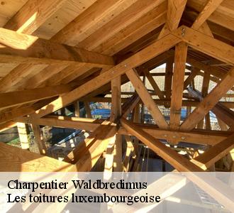 Le changement de charpente dans le et ses environs
