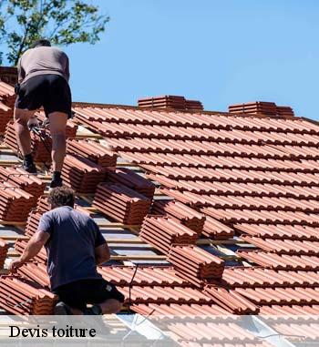 17.	Devis gratuit pour les travaux de pose d’hydrofuge de toiture à Bourscheid : prenez contact avec l’artisan Entreprise Bauer