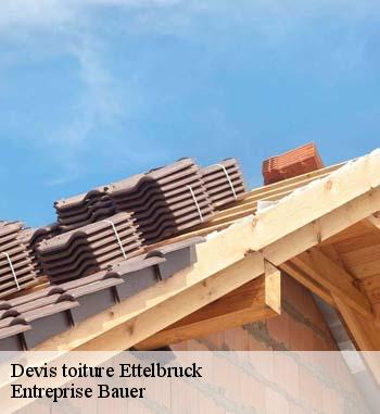 16.	Travaux de toiture pas chers à Ettelbruck : comparez les devis avec ceux de Entreprise Bauer
