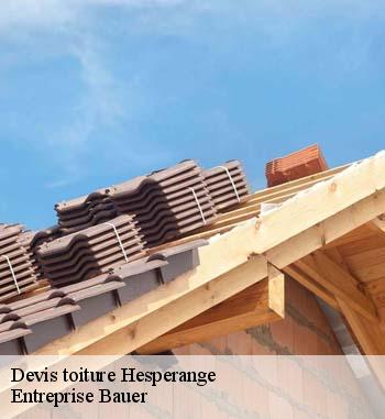 4.	Rénovation de toiture à Hesperange : des chargés de clientèles vous reçoivent pour l’établissement de votre devis avec Entreprise Bauer