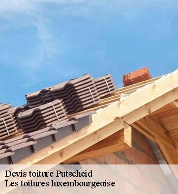 3. Rénovation de toiture en zinc à Les toitures luxembourgeoise : l’entreprise Les toitures luxembourgeoise peut prendre en main votre projet
