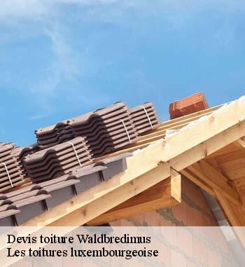 8.	Devis pour refaire sa toiture à Waldbredimus ? Obtenez le vôtre en vous adressant à Waldbredimus ?