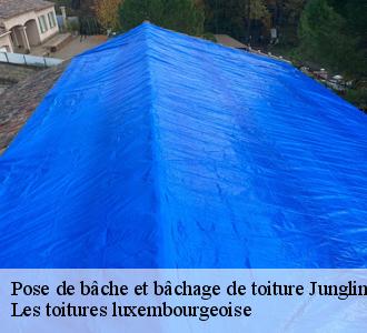  Bâchage de toiture à Junglinster, adressez-vous à Les toitures luxembourgeoise 