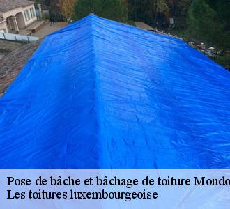 Pose de bâche de toiture, le couvreur Les toitures luxembourgeoise à contacter à Mondorf-les-bains
