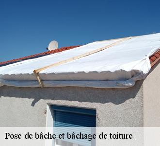 Contactez le couvreur Les toitures luxembourgeoise pour vous dépanner pour une urgence de toiture