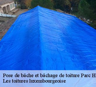 Bâchage de toiture, faites appel à Les toitures luxembourgeoise à Parc Hosingen, dans le