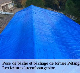 Les toitures luxembourgeoise , un couvreur de bonne réputation à votre disposition pour une pose de bâche de toiture