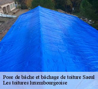  Bâchage de toiture à Saeul, adressez-vous à Les toitures luxembourgeoise 