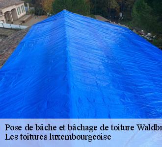 Pour une pose de bâche de toiture, faites-vous dépanner par le couvreur Les toitures luxembourgeoise 