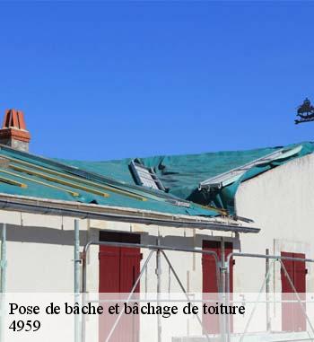 Appelez Entreprise Bauer pour un bâchage de toiture à Bascharage dans le 4959.