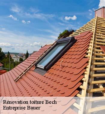 Pour des rendus remarquables, optez  Entreprise Bauer pour une rénovation de toiture à Bech, dans le 