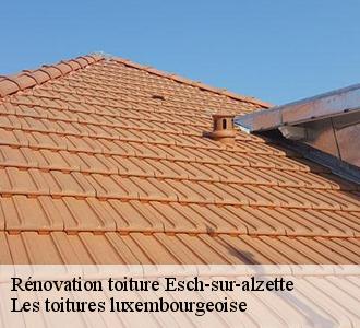 Confiez la rénovation de votre toiture à des professionnels expérimentés
