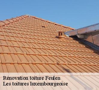 La rénovation de toiture est à prix abordable avec Les toitures luxembourgeoise