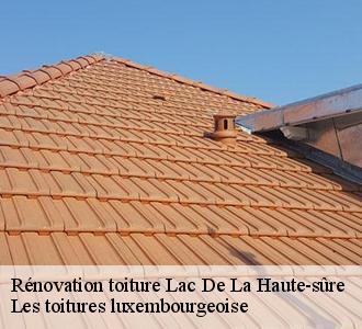 Pour des travaux de rénovation de toiture dans les règles de l’art, Les toitures luxembourgeoise  est recommandé pour vous à Lac De La Haute-sûre, 